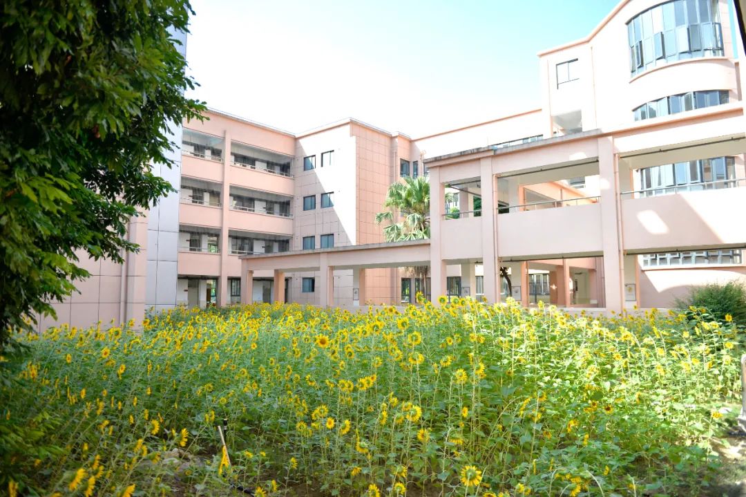 福建省民政厅领导到福州市盲校调研